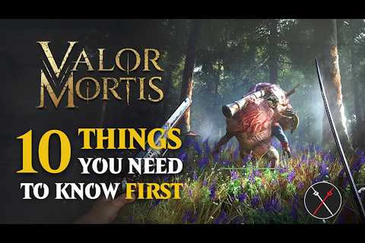 Valor Mortis Beginner Guide: Parry Timing & Combat Basics
